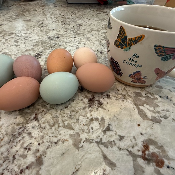 Meet your Posher, Megan - Picture 2 of 8